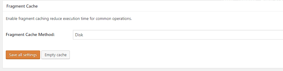 W3 Total Cache Fragment Disk