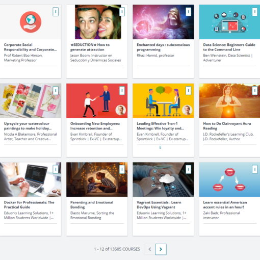 Total Udemy Courses Nov 17 2017 AFTER 13505