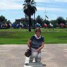 A1 Resource WP Network Author